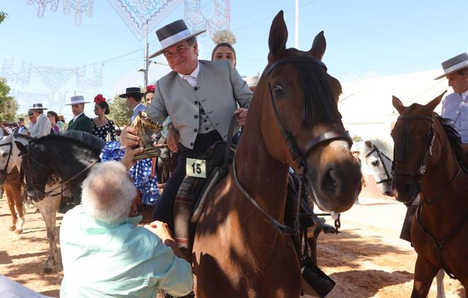 Feria Córdoba 2022 | El concurso ecuestre y los caballistas, en imágenes