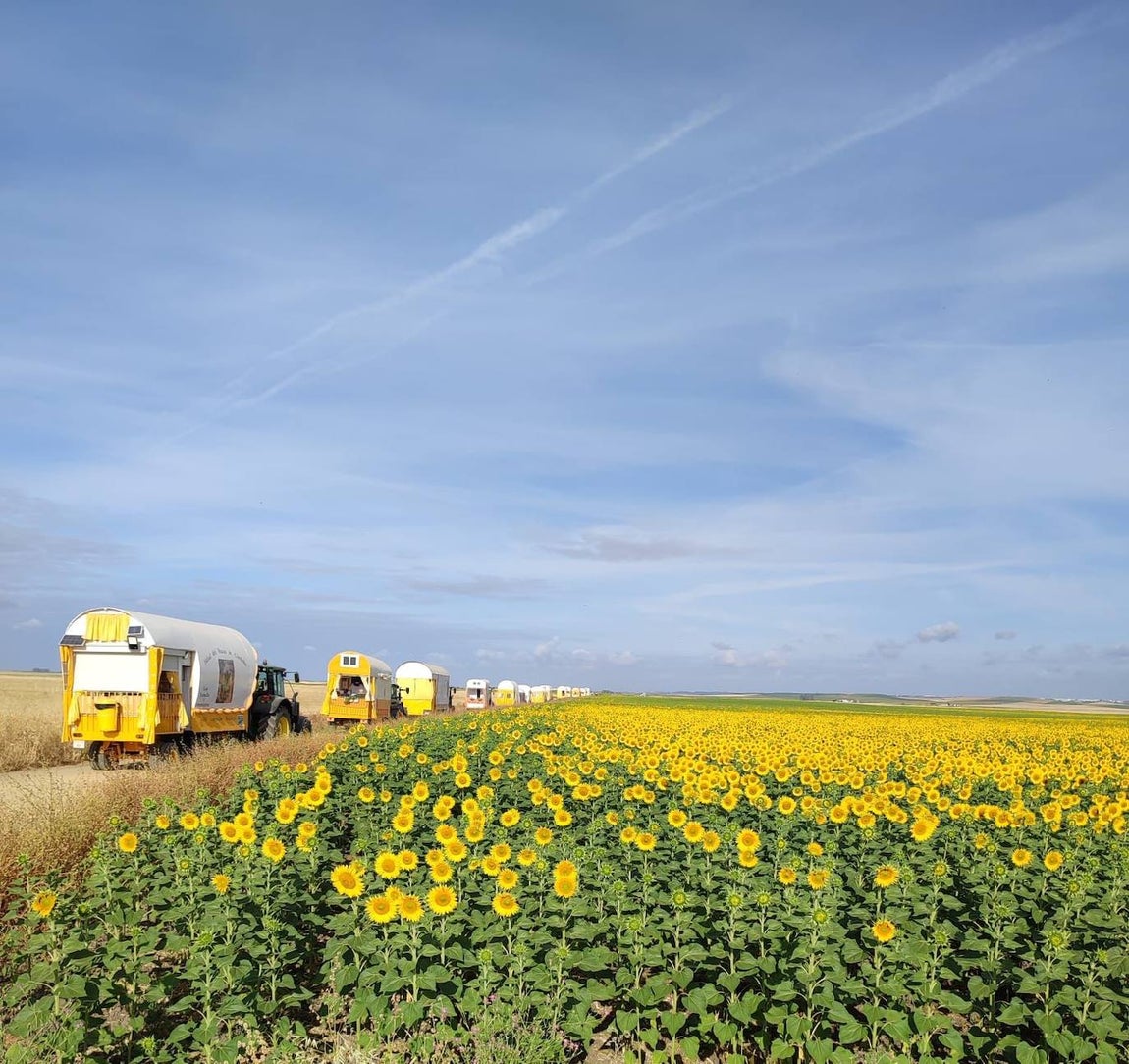 Rocío 2022 | El camino de la hermandad de Córdoba, en imágenes