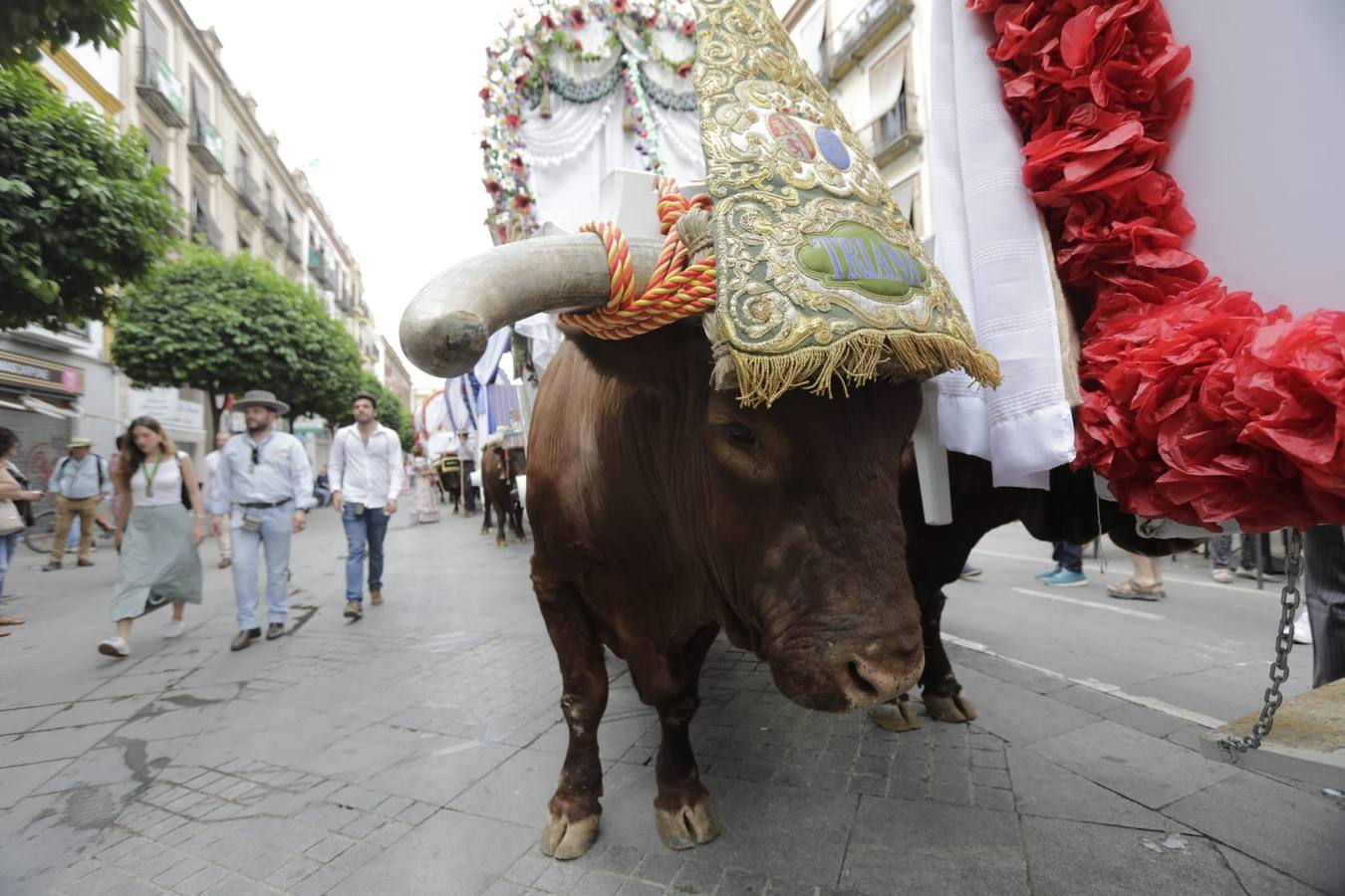 Salida de la hermandad del Rocío de Triana