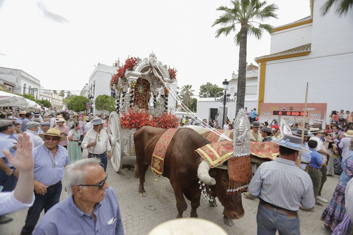 Hermandad de Gelves. RAÚL DOBLADO