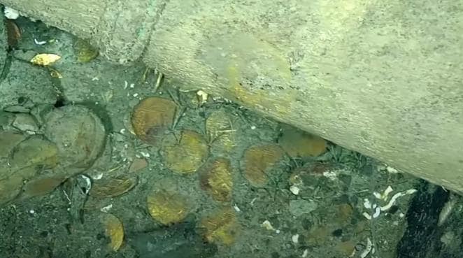 Monedas, lingotes de oro, una vajilla casi intacta... Los nuevos tesoros hallados en el galeón San José