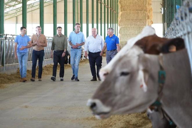 El reencuentro de Juanma Moreno con su vaca &#039;talismán&#039; en Añora, en imágenes