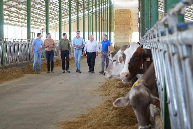 El reencuentro de Juanma Moreno con su vaca &#039;talismán&#039; en Añora, en imágenes