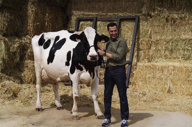 El reencuentro de Juanma Moreno con su vaca &#039;talismán&#039; en Añora, en imágenes