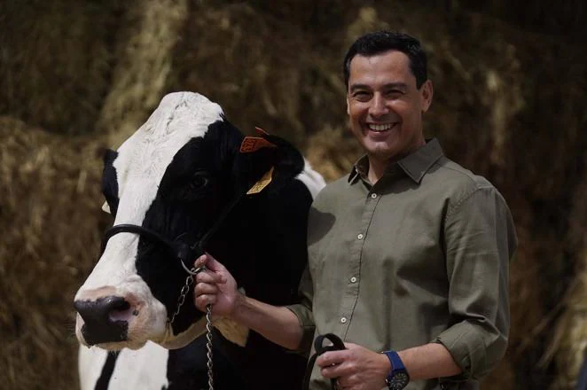 El reencuentro de Juanma Moreno con su vaca &#039;talismán&#039; en Añora, en imágenes