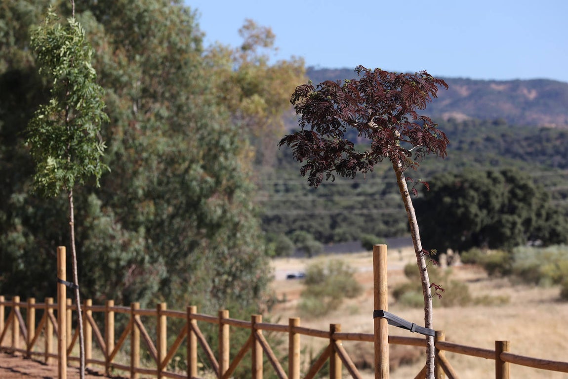 La finalización de la urbanizacion de Mirabueno de Córdoba, en imágenes