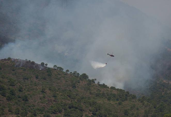 Incendio forestal en Pujerra (Málaga)