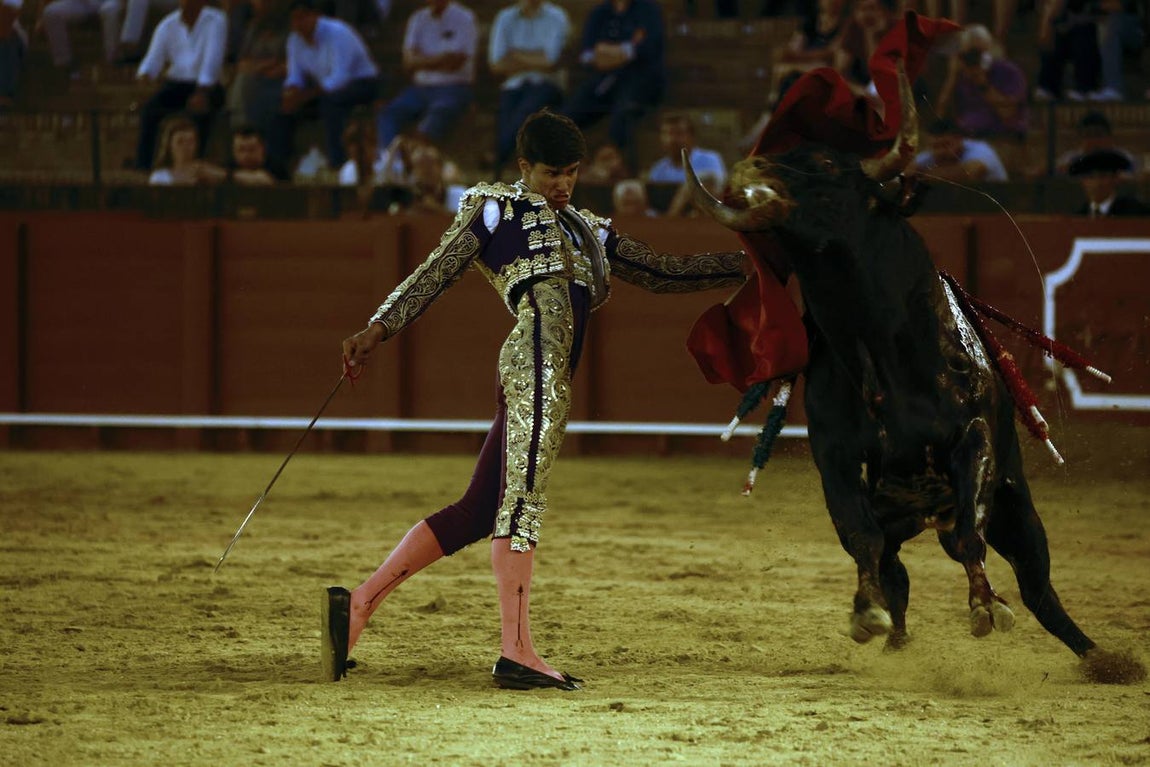 En imágenes, novillada gris en la Maestranza
