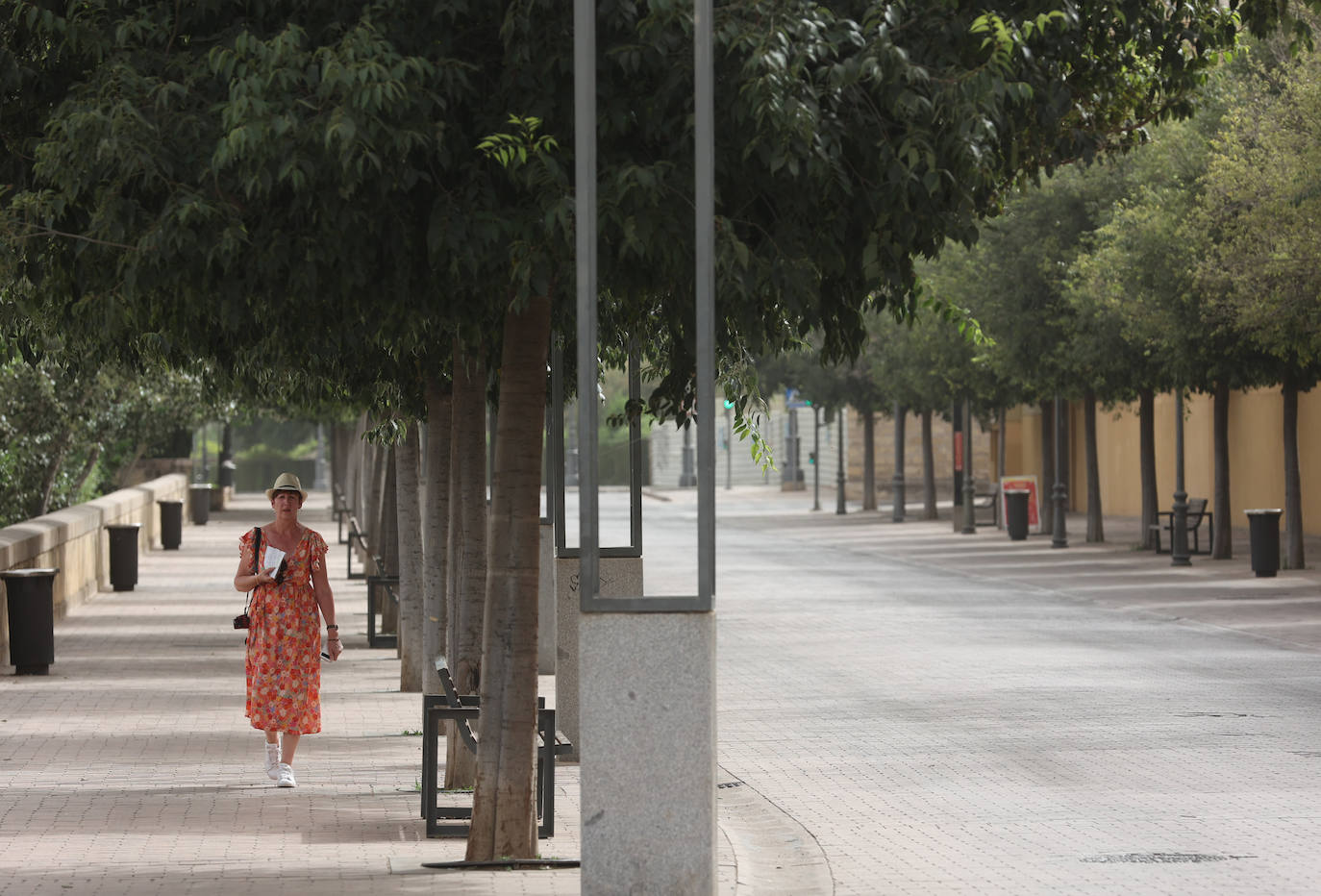 Los estragos de la ola de calor en Córdoba, en imágenes