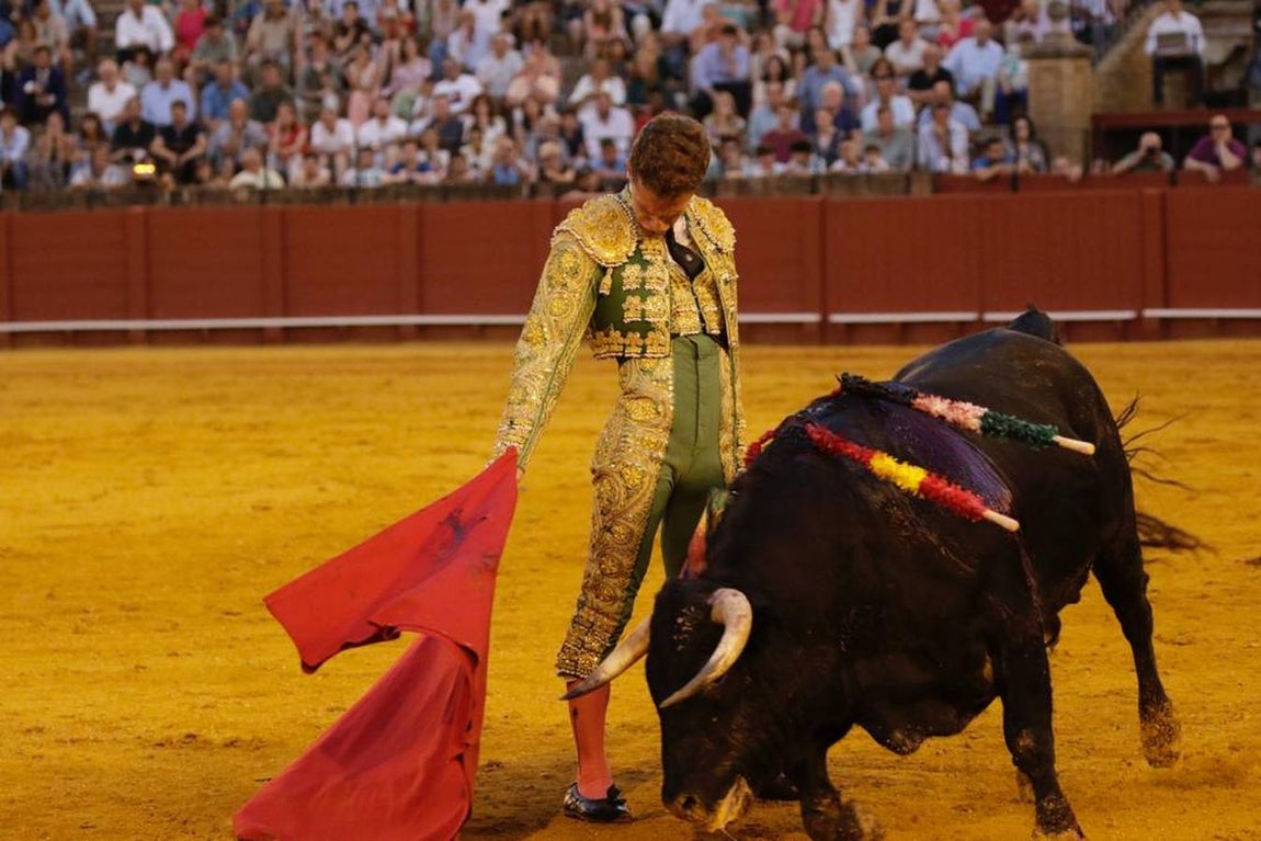 En imágenes, la novillada protagonizada por Emilio Silvera, Calerito y Daniel de la Fuente