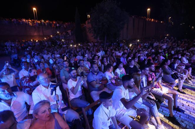 Las actuaciones de &#039;Farru&#039; y Dani de Morón en la Noche Blanca del Flamenco, en imágenes