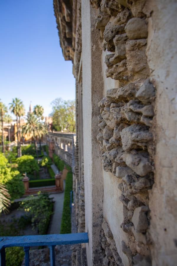 Nuevos espacios visitables que permiten perspectivas inéditas en el Alcázar