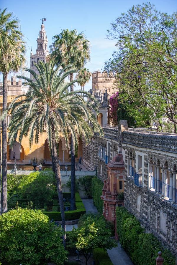 Nuevos espacios visitables que permiten perspectivas inéditas en el Alcázar