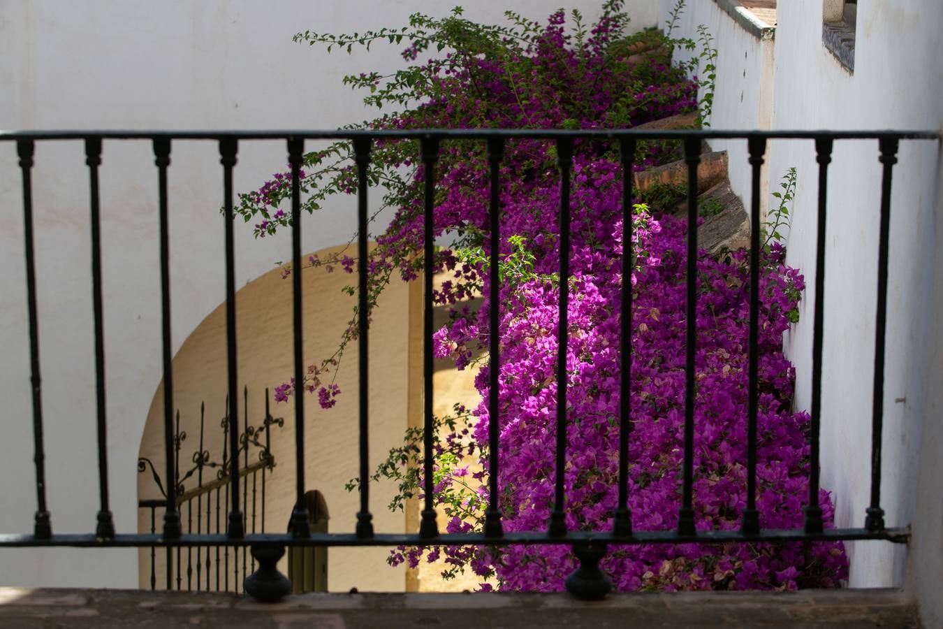 Nuevos espacios visitables que permiten perspectivas inéditas en el Alcázar