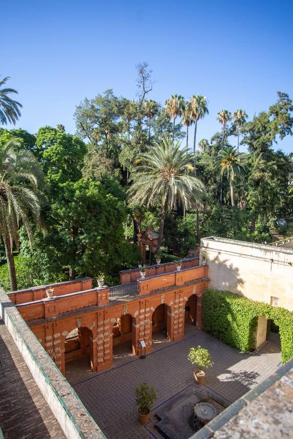 Nuevos espacios visitables que permiten perspectivas inéditas en el Alcázar