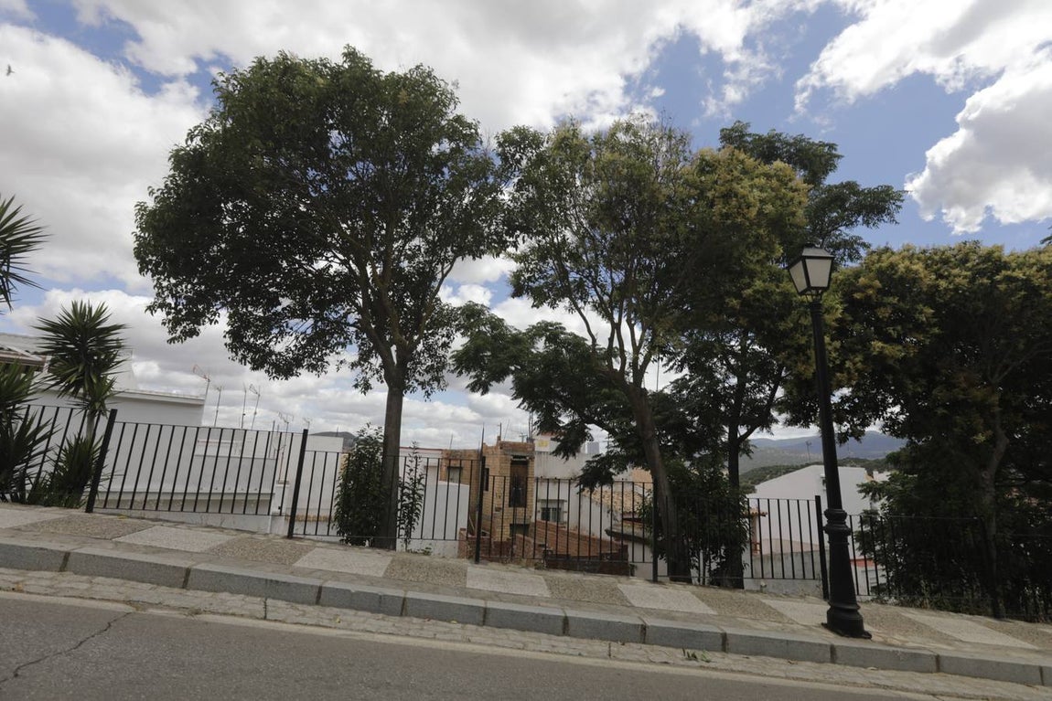 Fotos: Alcalá de los Gazules, un paraíso natural