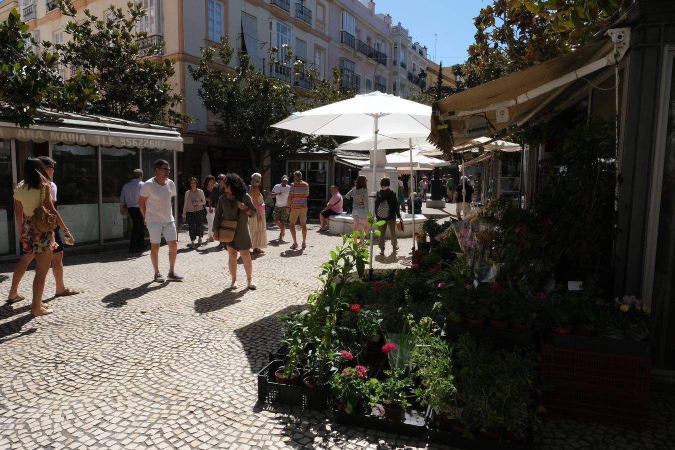 Fotos: El barrio de Cádiz centro, en imágenes