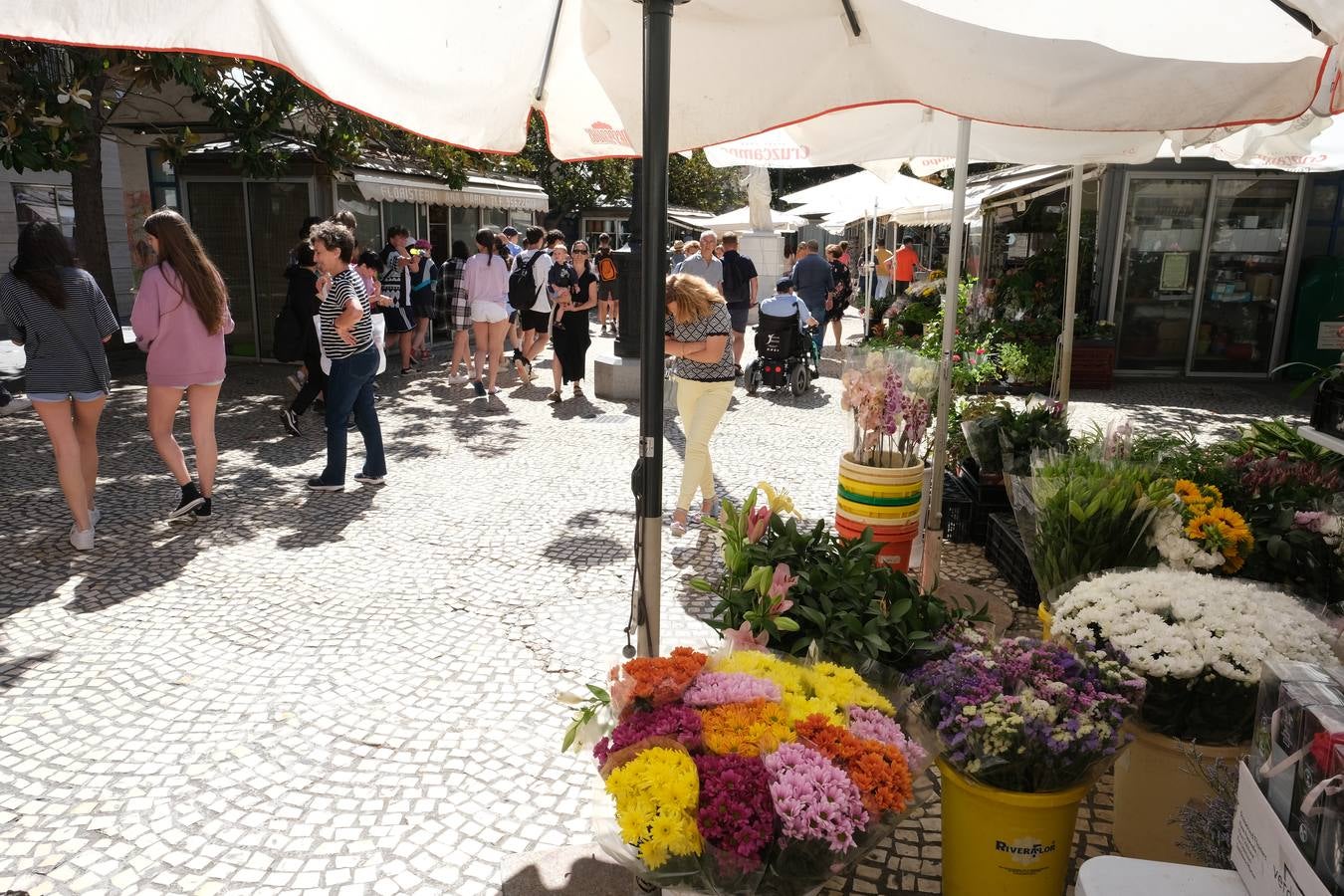 Fotos: El barrio de Cádiz centro, en imágenes