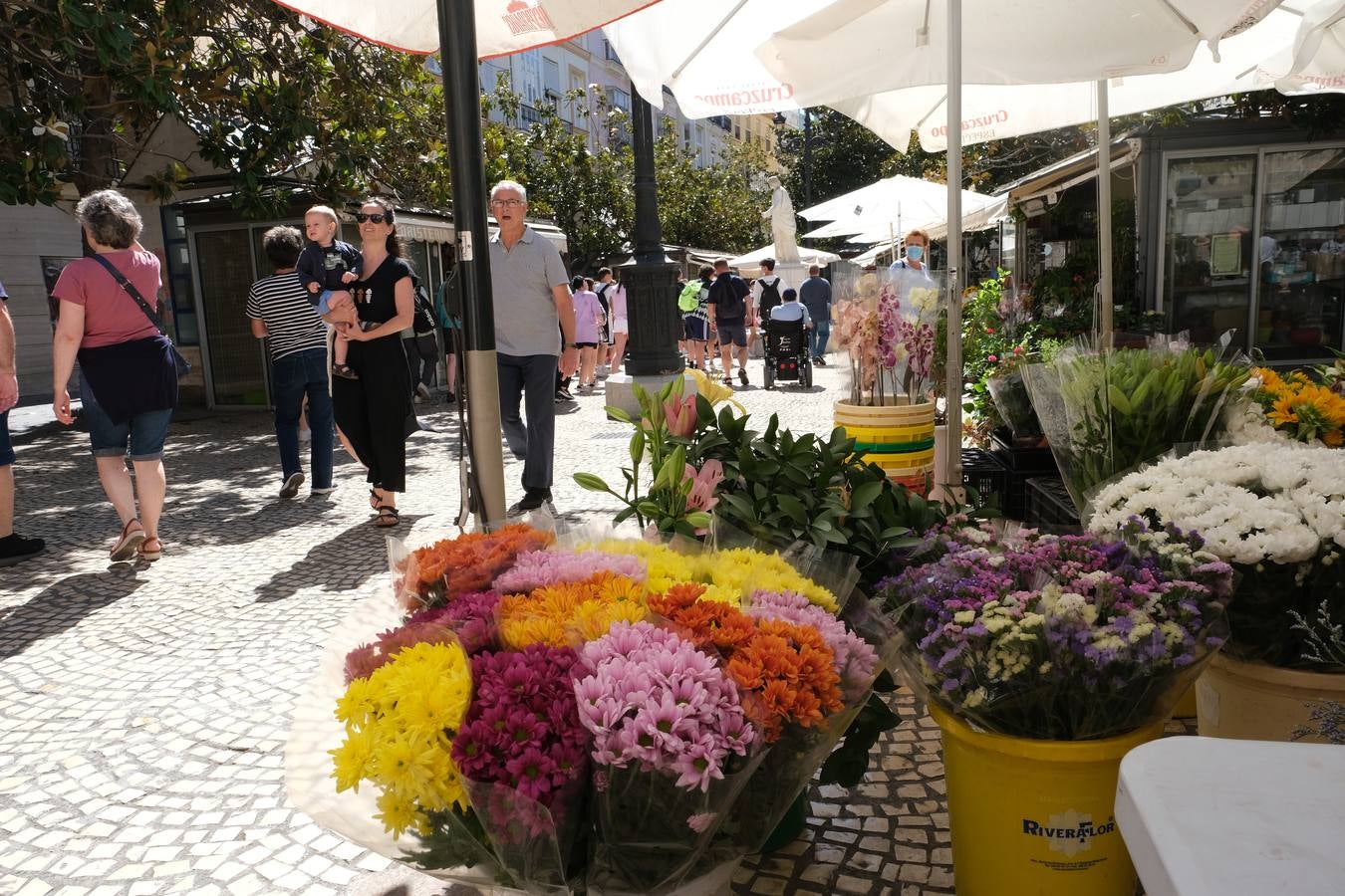 Fotos: El barrio de Cádiz centro, en imágenes