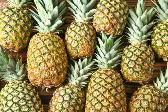 Piña. La <a href="https://www.abc.es/bienestar/alimentacion/abci-pina-202002250942_noticia.html" target="_blank">piña </a>tiene un toque ácido y muy refrescante, gracias a su alto contenido en agua (86,6%) y por ser una rica fuente en potasio, 250 mg de cada 100 gramos, indica la Bedca, es perfecta para evitar la retención de líquidos.