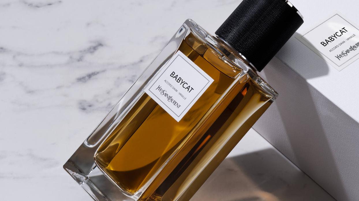 Estos son los perfumes de hombre con lo que triunfarás este invierno