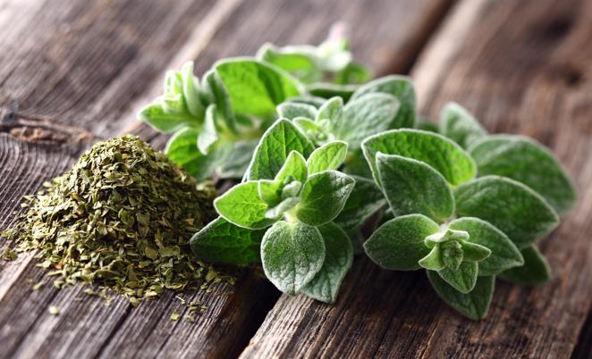 Oregano. La planta del <a href="https://www.abc.es/bienestar/alimentacion/abci-oregano-201909240903_noticia.html" target="_blank">orégano </a>posee además flavonoides, taninos, ácidos fenólicos, aceites esenciales (carvacrol, timol y origaneno) y ácido rosmarínico, que le aportan cualidades antioxidantes y antimicrobianas. De hecho, es una de las plantas que contiene más antioxidantes.