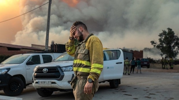 Luto en Castilla y León por la muerte de un brigadista que luchaba contra un incendio en Zamora