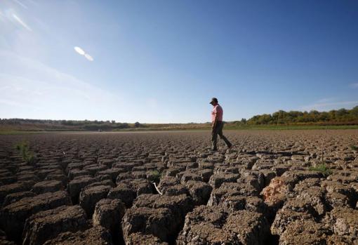 La laguna del Rincón, santuario reproductor del pato malvasía, se queda sin agua