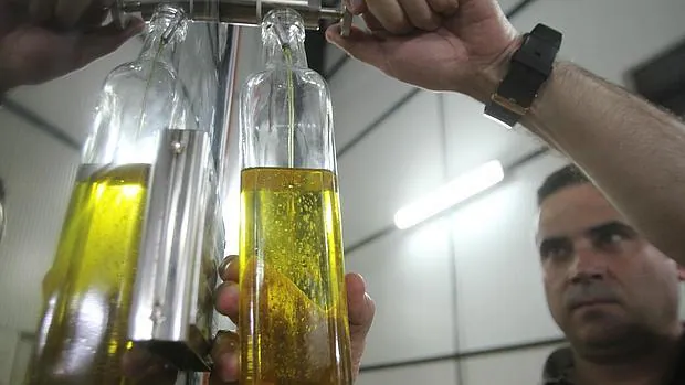 Envasadora de aceite de oliva en Priego de Córdoba