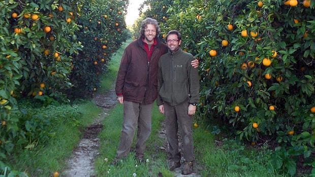 Los hermanos Salamanca en su finca de naranjos ecológicos