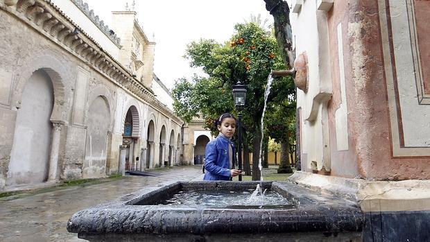 Podemos también quiere «recuperar» la Mezquita-Catedral