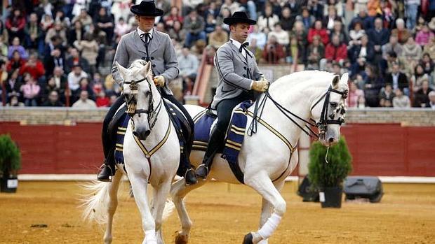 Espectáculo Pasión y Duende del Caballo Andaluz en Caballerizas Reales