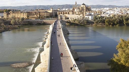 Vista del conjunto monumental desde la Torrre de la Calahorra