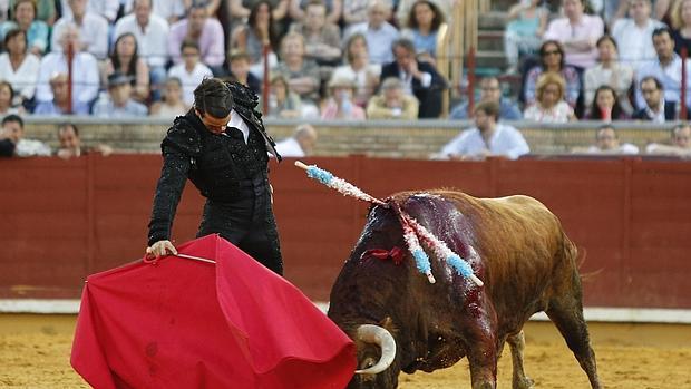 Manzanares torea en el Coso de los Califas