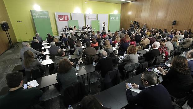 El PSOE andaluz acapara la mayoría de cargos socialistas en el Congreso