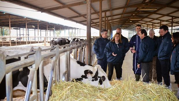 Susana Díaz, en su visita a las instalaciones de Covap