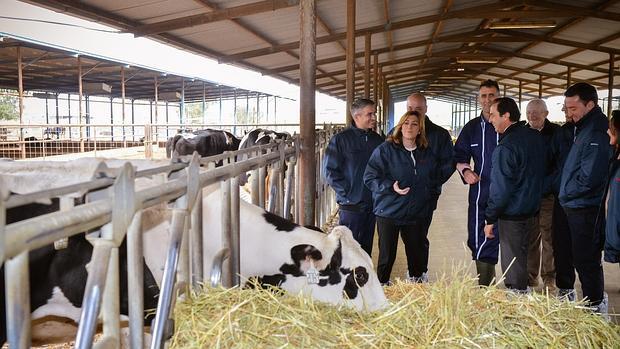 Visita de Susana Díaz a la cooperativa Covap