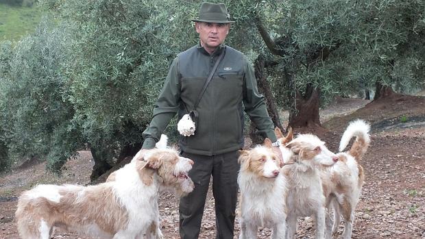 Sebastián Pérez Arjona, en un olivar de Montoro, con sus perros