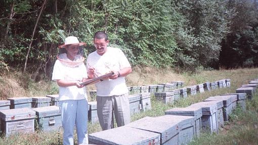 Colmenas en Hornachuelos