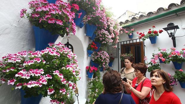 Visitantes en el Patio de la calle Trueque