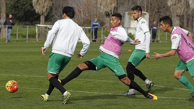 Eddy Silvestre, centrocampista del Córdoba CF