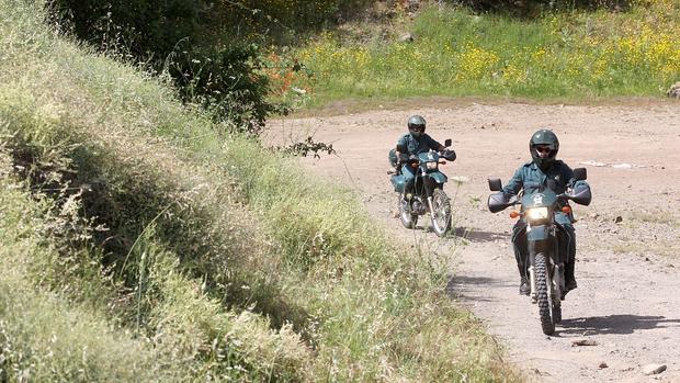 Agentes del Seprona durante una actuación