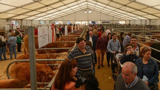 Numeroso público en el recinto ferial de Pozoblanco