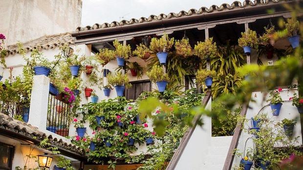 Interior de un patio en San Basilio