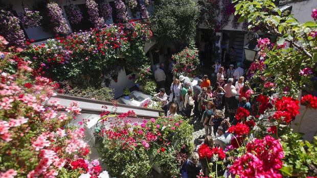 Imagen que ofrecía San Basilio, 44 en el arranque de la presente edición del concurso