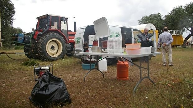 Bolsa de basura en una parada en el camino