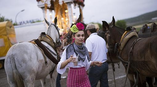 La Hermandad del Rocío de Córdoba, durante su peregrinación