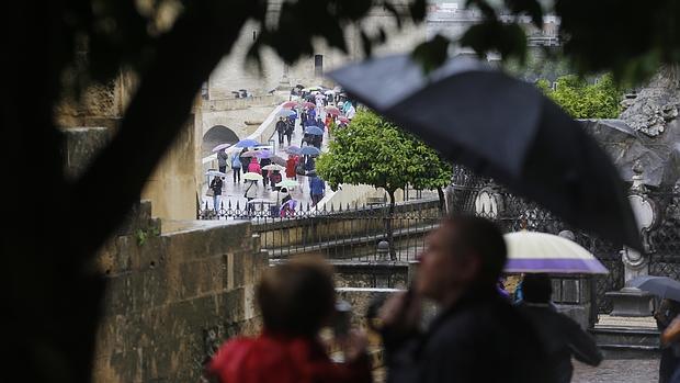 Turistas con paraguas en el entorno de la Mezquita-Catedral