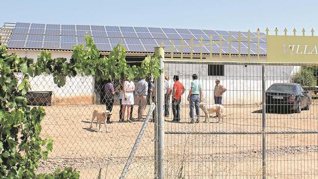 Placas solares en una explotación agraria