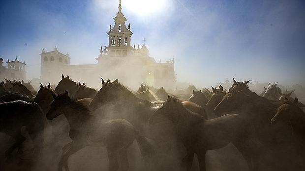 La Saca de las Yeguas del año 2015